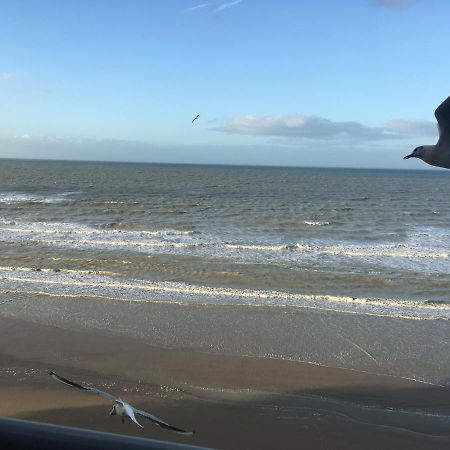 Entre Dunes Et Mer Bray-Dunes Kültér fotó