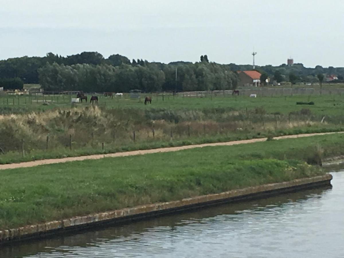 Entre Dunes Et Mer Bray-Dunes Kültér fotó