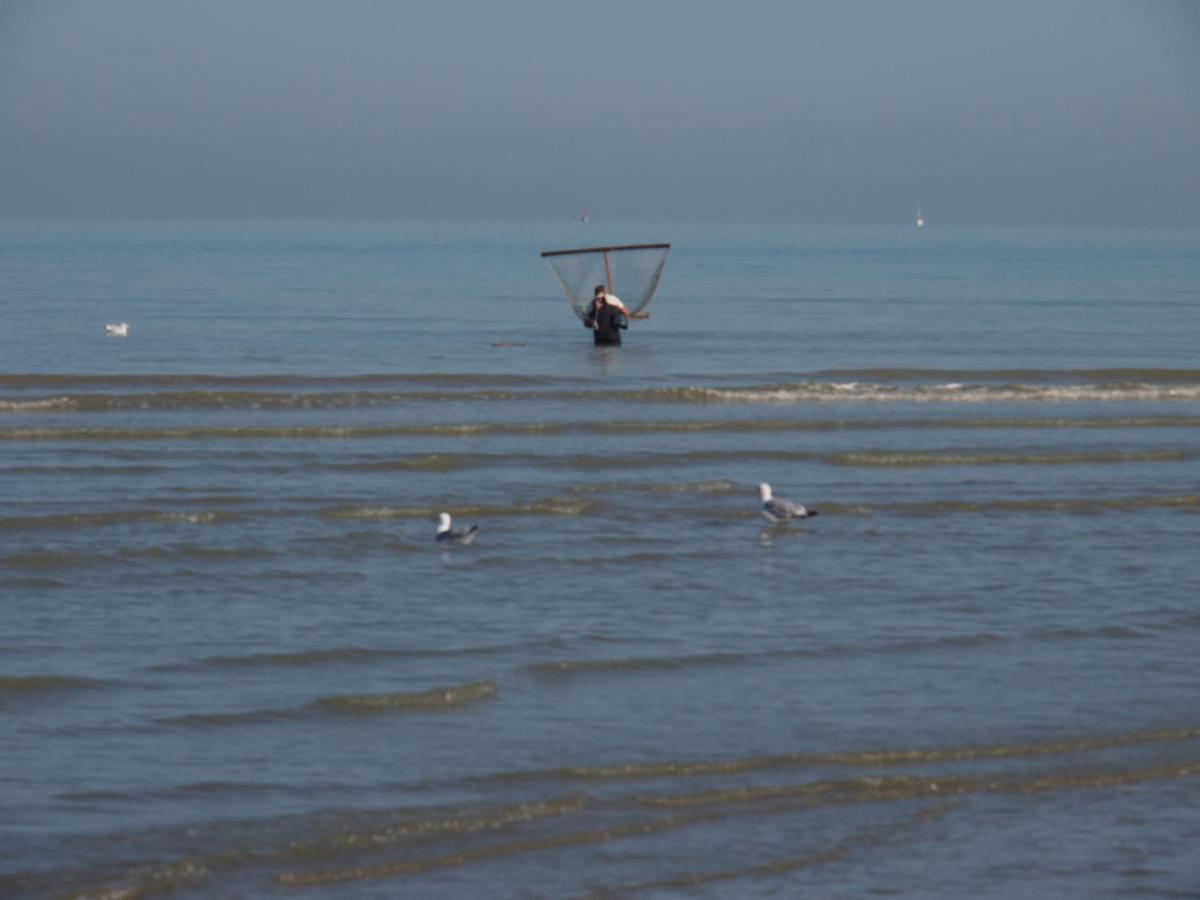 Entre Dunes Et Mer Bray-Dunes Kültér fotó