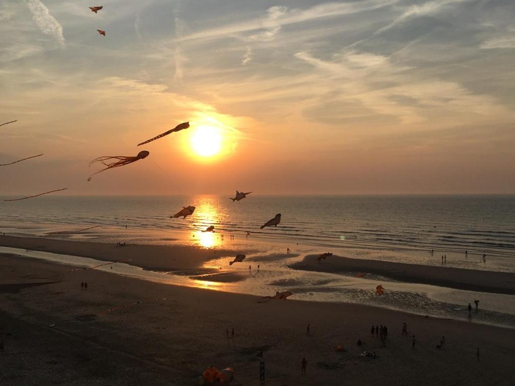 Entre Dunes Et Mer Bray-Dunes Kültér fotó